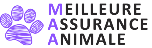 meilleure-assurance-animale